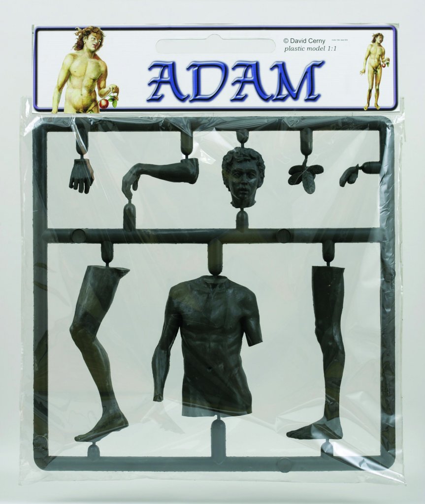 Černý David, Adam, 1993