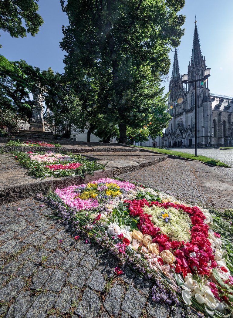 Božítělová posýpka u sochy sv. Jana Nepomuckého před Arcidiecézním muzeem Olomouc Božítělová posýpka u sochy sv. Jana Nepomuckého před Arcidiecézním muzeem Olomouc
