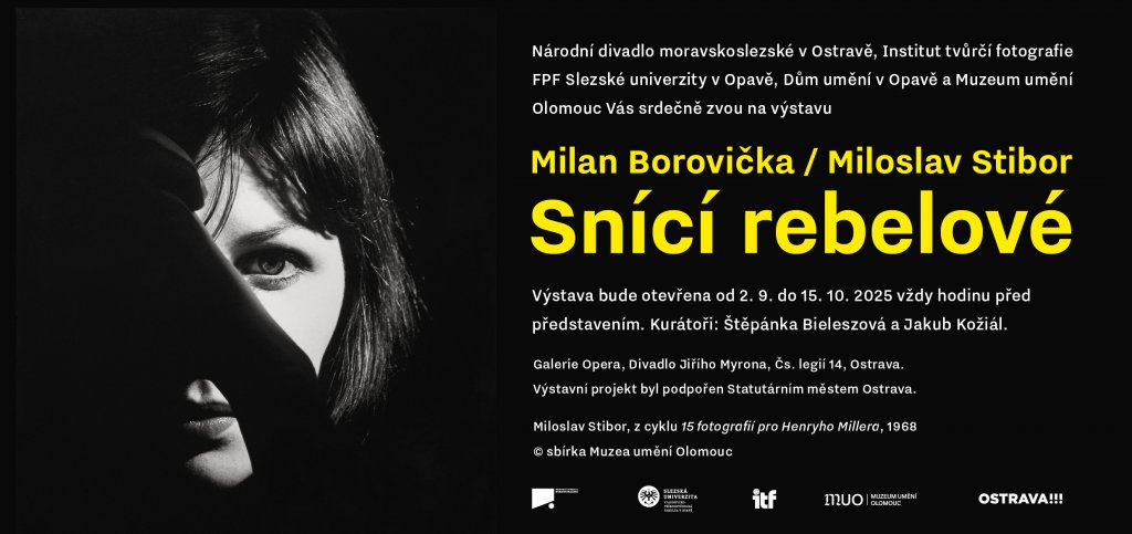 Milan Borovička / Miloslav Stibor: Snící rebelové