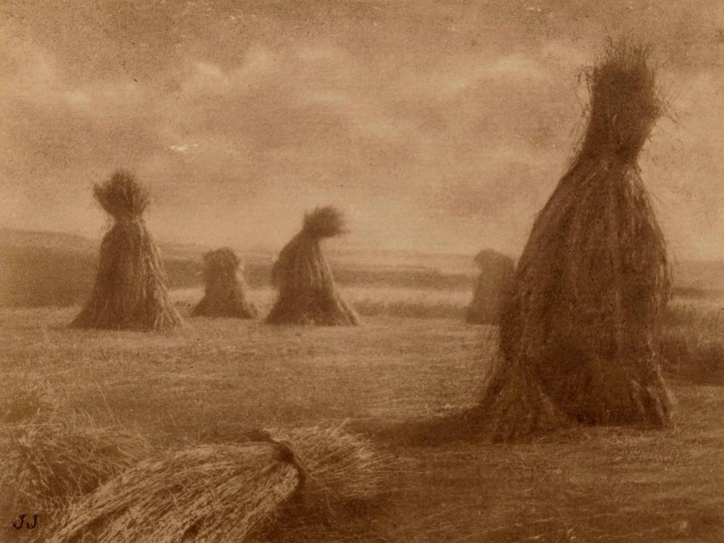 Julie Jirečková, (Pole), 1923−1924, pigmentový tisk, papír; 121×162mm. Získáno 2009, Muzeum umění Olomouc