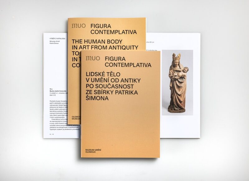 Preview of the catalog for the exhibition Figura contemplativa