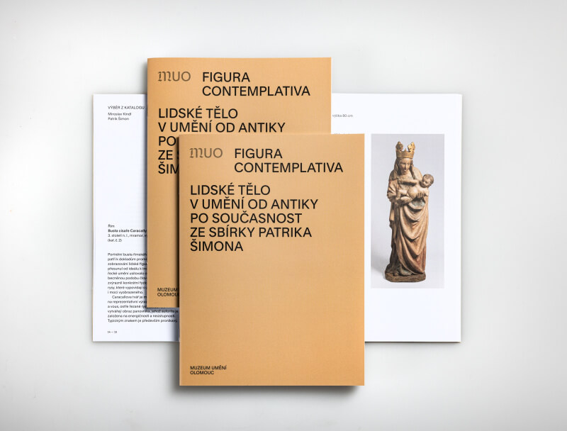 Náhled na katalog k výstavě Figura contemplativa